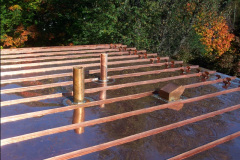 Metal Roofing